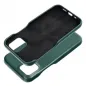 Apple iPhone 12 Case Roar Look Green 