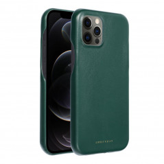 Apple iPhone 12 Pro Max Case Roar Look Green 