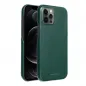 Apple iPhone 12 Pro Max Case Roar Look Green 