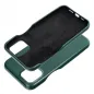 Apple iPhone 12 Pro Max Case Roar Look Green 