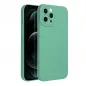 Apple iPhone 12 Pro Max Case Roar Luna Monochrome, Stylish, An aesthetic accessory  Green 