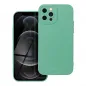 Apple iPhone 12 Pro Case Roar Luna Monochrome, Stylish, An aesthetic accessory  Green 