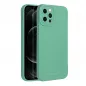 Apple iPhone 12 Pro Case Roar Luna Monochrome, Stylish, An aesthetic accessory  Green 