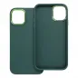 Apple iPhone 11 Case FRAME Elegant  Green 