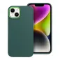 Apple iPhone 13 Case FRAME Elegant  Green 