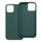 Apple iPhone 13 Case FRAME Elegant  Green 