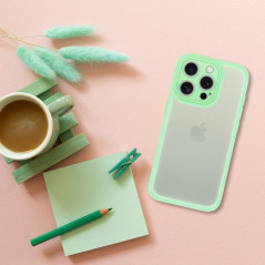 Apple iPhone 11 Case VARIETE Elegant  Pistachio 