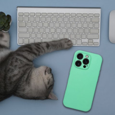 Apple iPhone 15 Pro Max Case Silicone 2mm Mint