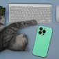 Apple iPhone 16 Pro Max Case Silicone 2mm Mint